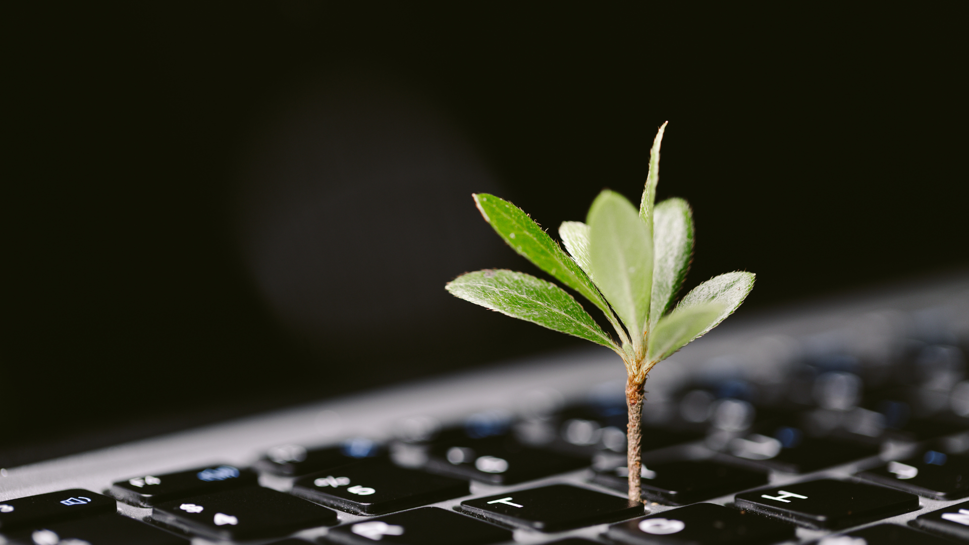 The Future of Work: How Agentic AI, Biomimicry, and Circular Talent Models Are Redefining Organizations